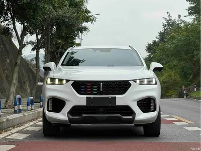2019 WEY VV7 Upgraded 2.0T Flagship China V, фото 2, лот 10343383
