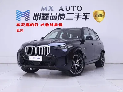 2023 BMW X5 xDrive 30Li Premium M Sport Package, фото 1, лот 10415090