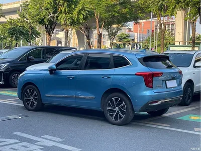 2021 Haval First Love 1.5T Automatic Premium Edition, фото 4, лот 11170950