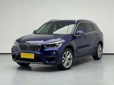 2019 BMW X1 sDrive20Li Leading Model, фото 1, лот 10413195