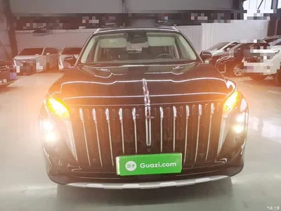 2024 Hongqi HS7 PHEV 2.0T PHEV 4WD Flagship Edition 6-seater, фото 3, лот 11197378