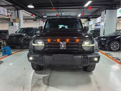 2023 Tank 300 Off-Road Edition 2.0T Conqueror, фото 2, лот 11222852