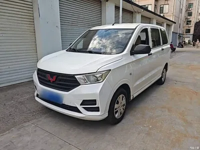 2019 Wuling Motors Wuling Hongguang 1.5L S Basic China VI LAR, фото 2, лот 10385750