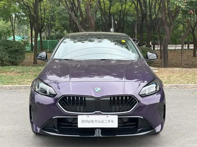 2026 BMW 2 Series Model 225L M Sport Shadowline Package, фото 2, лот 11203470