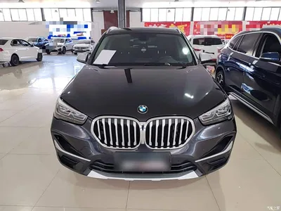 2022 BMW X1 xDrive25Li Premium, фото 3, лот 10467439