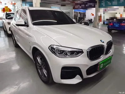 2021 BMW X3 Facelift xDrive25i M Sport Package, фото 4, лот 10461641