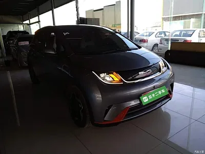 2021 BYD Dolphin Model 405km Fashion Edition, фото 4, лот 11545728