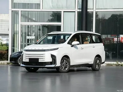 2025 SAIC Maxus Maxus G50 PHEV Facelift Navigator Edition, фото 1, лот 11146707