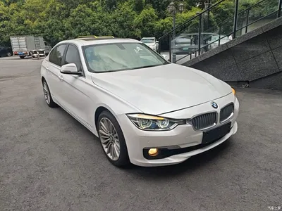 2018 BMW 3 Series 320Li Fashion Style, фото 4, лот 10812398