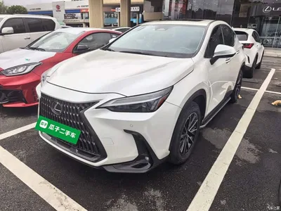 2022 Lexus NX 350h FWD Joy Creation Edition, фото 1, лот 10320518