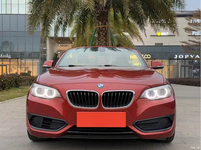 2018 BMW 2 Series (Import) 220i Convertible Coupe Sport Design Package, фото 2, лот 10471240