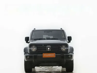 2021 Tank 300 Off-road Version 2.0T Conqueror, фото 4, лот 10449938