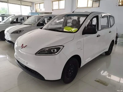 2024 Wuling Motors Wuling Hongguang New Energy Pure Electric 300KM Standard, фото 2, лот 11167172