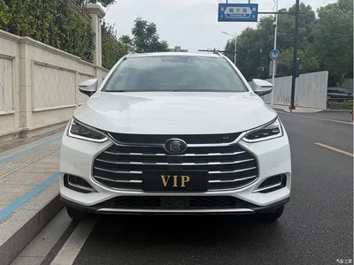 2018 Byd Tang, фото 2, лот 10248180