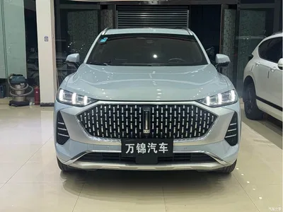 2021 WEY Mocha 2.0T 4WD Premium Edition, фото 2, лот 11150012