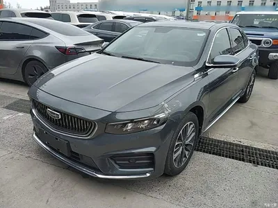 2021 Geely Xing Rui 2.0TD Luxury, фото 1, лот 10361540