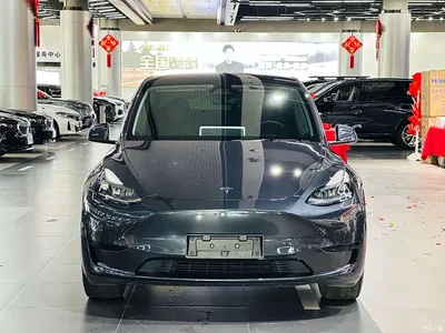 2024 Tesla Model Y Rear-Wheel Drive Version, фото 2, лот 11493553