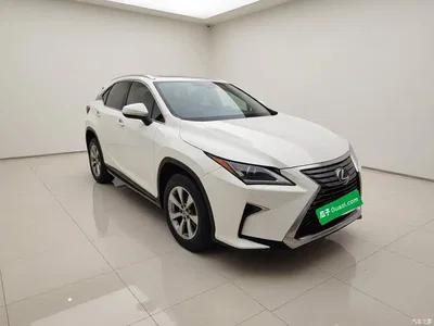 2016 Lexus RX 300 2WD Elite Edition (China V), фото 3, лот 10316364