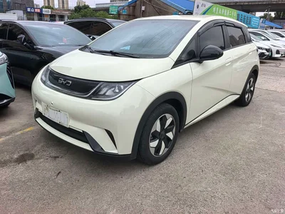 2024 BYD Dolphin Glory Edition 420km Freedom Edition, фото 1, лот 10254453