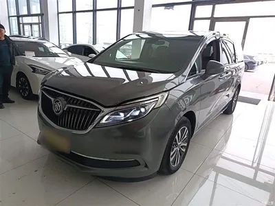 2017 Buick GL8 ES 28T Luxury China V, фото 1, лот 10262379