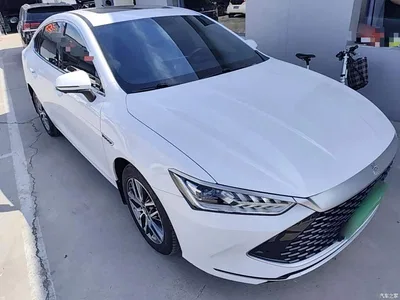 2023 BYD Qin PLUS Champion Edition DM-i 55KM Surpassing, фото 4, лот 10362790