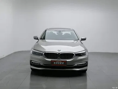 2019 BMW 5 Series New Energy 530Le Luxury Package, фото 3, лот 11018433