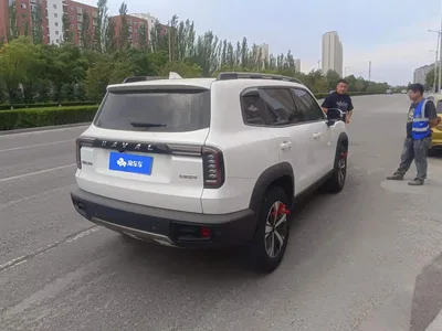 2021 Haval Big Dog 1.5T DCT 2WD Labrador Edition, фото 3, лот 10361697