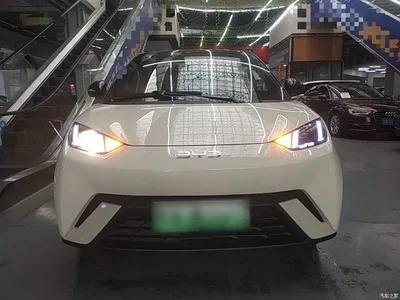 2024 BYD Seagull Glory Edition 305km Vitality Edition, фото 3, лот 11180928