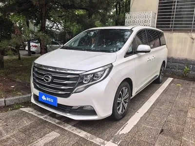 2018 GAC Trumpchi Trumpchi M8 320T Premium Edition, фото 1, лот 10417024