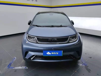 2024 BYD Dolphin Glory Edition 420km Fashion Edition, фото 2, лот 11247419