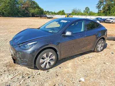 2024 TESLA MODEL Y, фото 1, лот 10856651