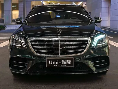 2019 Mercedes-Benz S-Class S 450 L 4MATIC, фото 4, лот 10269053