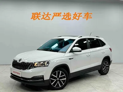 2024 Škoda Kamiq Model 1.5L Automatic Comfort Edition, фото 2, лот 10349222