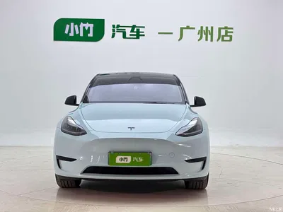 2024 Tesla Model Y Rear-Wheel Drive Version, фото 3, лот 11216471
