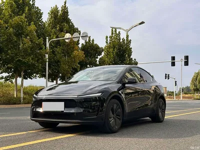 2026 Tesla Model Y Rear-Wheel Drive, фото 1, лот 10889764