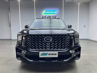 2022 GAC Trumpchi Trumpchi GS8 Pilot Series 2.0TGDI 2WD Luxury Smart Connect Edition (7-Seater), фото 2, лот 10417172