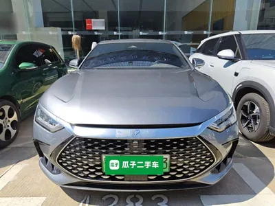 2023 BYD Han DM-i Champion Edition 121KM Premium, фото 3, лот 10261234