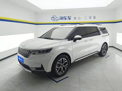 2021 Kia Carnival 2.0T Flagship Edition, фото 1, лот 10331994