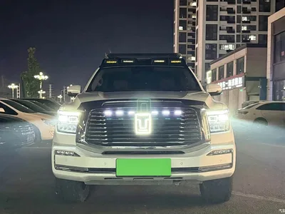 2024 Tank 500 EV Hi4-T, фото 2, лот 11571531