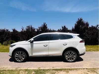 2019 BYD Tang 2.0T Automatic Smart Connect Noble 7-seater China VI, фото 3, лот 10250259