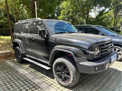2024 Tank 300 2.0T Explorer, фото 3, лот 10344964