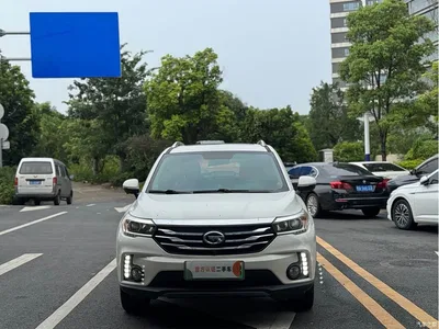 2017 GAC Trumpchi Trumpchi GS4 New Energy 1.5L PHEV Smart Edition, фото 2, лот 10416972
