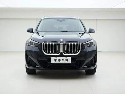 2024 BMW X1 sDrive25Li M Sport Package, фото 2, лот 10413769