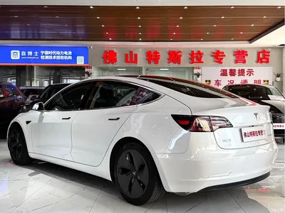 2020 Tesla Model 3 Standard Range Rear-Wheel Drive Upgrade, фото 3, лот 10353809