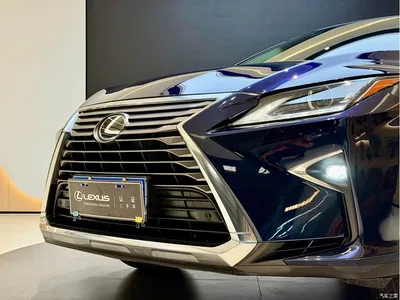 2016 Lexus RX 300 2WD Comfort Edition China V, фото 4, лот 10313544