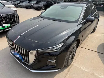 2023 Hongqi H5 2.0T Auto Smart Connect Flag Comfort, фото 1, лот 10288472