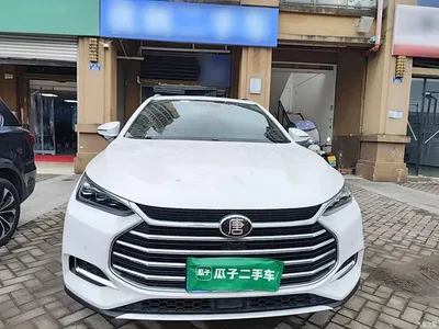 2021 BYD Tang 2.0T Automatic Flagship, фото 3, лот 10890488