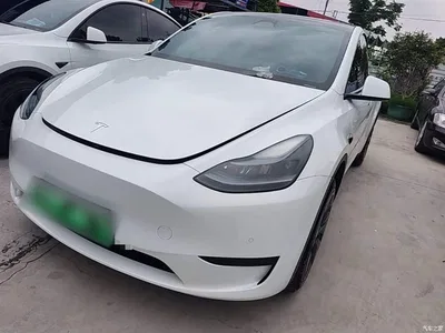 2023 Tesla Model Y Rear-Wheel Drive Edition, фото 2, лот 10374212