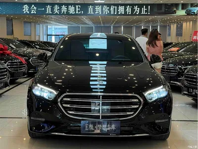 2025 Mercedes-Benz E-Class E 300 L Luxury, фото 1, лот 10830250