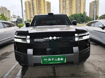 2025 Byd Titanium 7 AWD Base Model, фото 3, лот 10821698